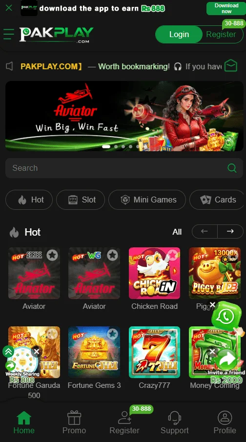 Pak Play Game Screenshot